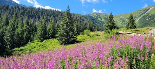 Tatry, Góry, Szlaki w górach