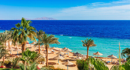 Beach and palm trees on Red Sea in Sharm el Sheikh, Sinai, Egypt
