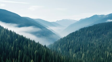 Foggy mountains