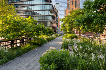 The High Line Park promenade in summer. Elevated greenway in the heart of Chelsea, Manhattan. New York City