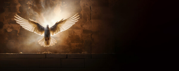Winged dove with copy space, a representation of the New Testament Holy Spirit