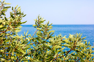 Grecja, niebieskie morze, żaglówki, zabytkowe miasteczka i romantyczne uliczki. Piękne wakacyjne widoki. Wakacje na greckich wyspach.