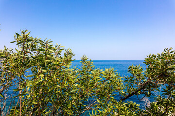Grecja, niebieskie morze, żaglówki, zabytkowe miasteczka i romantyczne uliczki. Piękne wakacyjne widoki. Wakacje na greckich wyspach.