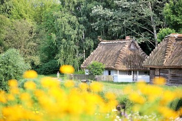 stara chata z drewna