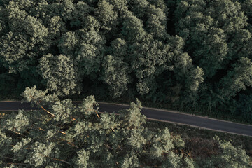 Widok na las i drogę z góry, las z lotu ptaka, zdjęcia lasu z drona, ekologia. View of the forest and the road from above, forest from a bird's eye view, photos of the forest from the drone, ecology.