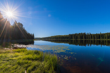 Tranquil morning sunrise over Andy Bailey Lake, British Columbia, Canada