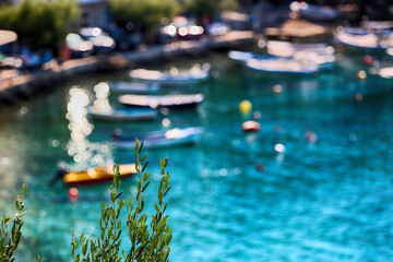 Widok na błękitne morze z kwiatkiem i statkiem w tle.