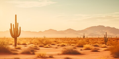 A desert landscape with cacti and warm sunlight , desert landscape, cacti, warm sunlight.