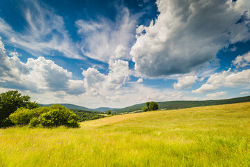 Polska, Podkarpackie, Beskid Niski, okolice Bartnego, pejzaż górski latem