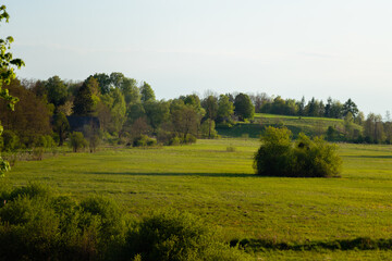 łąka o zachodzie słońca