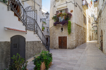 Vieste street, Apulia, Southern Italy