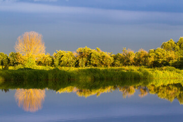Wiejski krajobraz ze stawem i bujną zielenią w tle