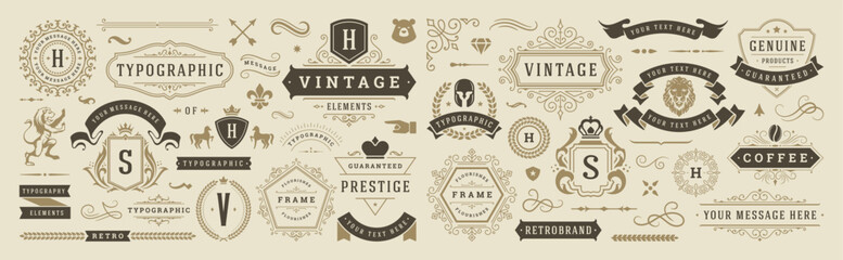 Vintage typographic decorative ornament design elements set vector illustration