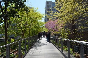 Nowy Jork, trasa spacerowa High Line wiosną