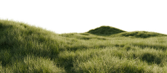 Hills with grass on a transparent background. 3D rendering. 