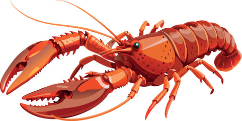 Red lobster spreading its claws on white background