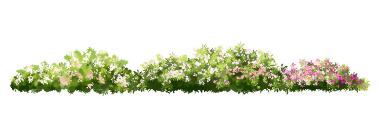  Vector watercolor blooming flower tree or meadow side view isolated on white background for landscape and architecture drawing,elements for environment or and garden,green tree for garden section 