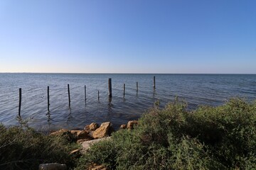 L'étang de Vaccares, ville d'Arles, département des Bouches-du-Rhône, France