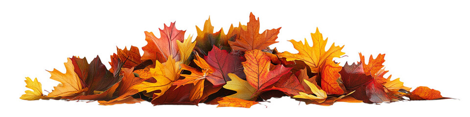 A pile of autumn leaves on a white background
