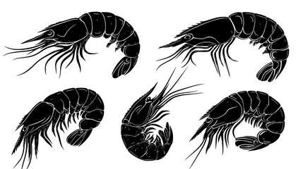 Collection of Shrimp icons, Shrimp vectorized seamless pattern