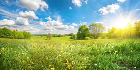Beautiful spring summer natural landscape with a meadow of grass, trees and blue sky with clouds on a bright sunny day.