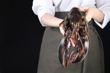 Woman with raw lobster on black background, closeup. Space for text