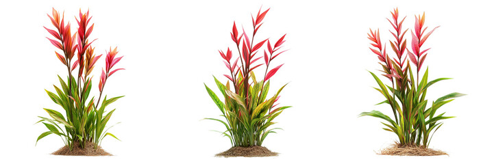 Set of A vibrant plastic aquarium plant decoration with multi-tourmaline gemstones in a fish tank on transparent png background. Ai generated