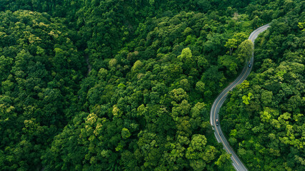 Top view road in beautiful autumn forest at sunset, trees with red and orange leaves , Beautiful landscape view from flying drone in Nature
