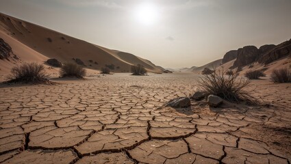 dry cracked earth