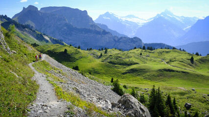 Scenic view from the Schynige Platte panoramic ridge walking trail hike in Switzerland alps in the Bernese Highlands. Green meadows and Swiss mountains on a sunny day.