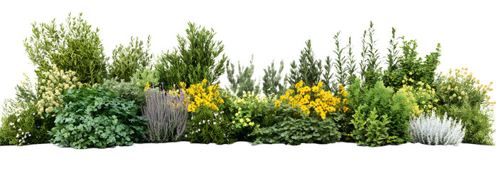 Lush greenery and vibrant flowers in a natural garden setting, showcasing diverse plant life and colorful blooms