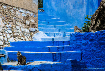 Klimatyczne uliczki w niebieskim mieście w Maroku