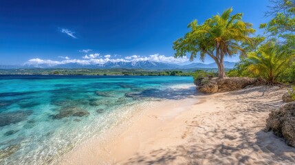 Pristine beach scene with turquoise water and palm tree