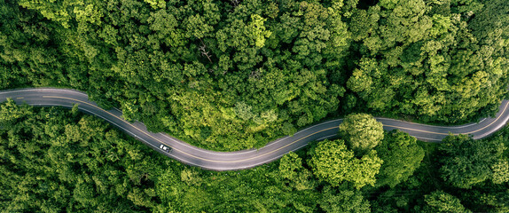 Road in the middle of the forest , trees with red and orange leaves , Beautiful landscape view from flying drone in Nature