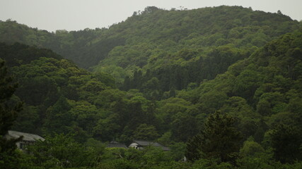 mountain landscape with trees