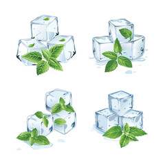 ice cubes with green leaves vector