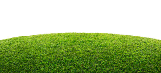 green grass field isolated on transparent background