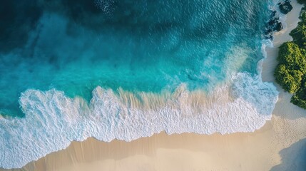 A serene beach scene with turquoise water and white sand, featuring a lone palm tree and a small island in the distance.