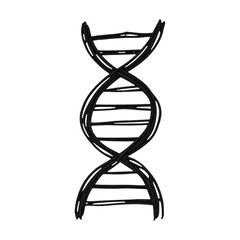 PNG Hand-drawn DNA helix illustration.
