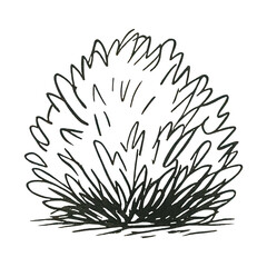PNG Simple black and white bush illustration.