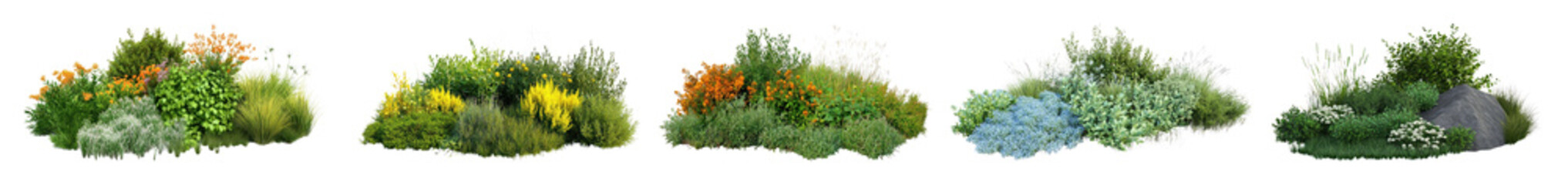 Vibrant garden plant arrangements