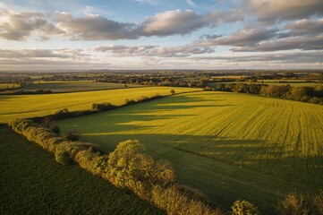 Bird's-eye view of verdant farmland in early summer