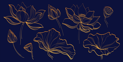 Golden lotus line artwork with elegant floral outlines and botanical elements for luxury design. Blooming flowers with petals and seed pods. Oriental decorative collection for spa or meditation design