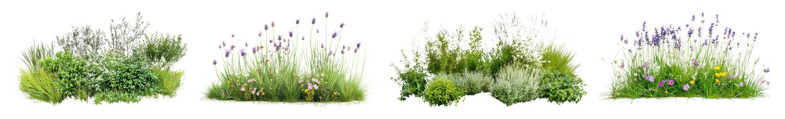 PNG Lush floral garden arrangement beauty, element set on transparent background