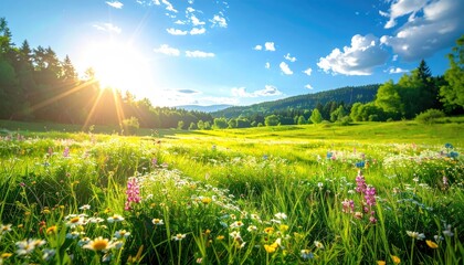 Vibrant Sunny Meadow with Colorful Wildflowers and Lush Green Trees Under a Bright Blue Sky on a Sunny Day Rural Landscape