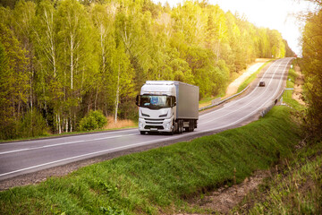 A modern truck transports cargo along a country road against the backdrop of beautiful nature and forest. Freight exchange. Transport and logistics company. Sunny weather. Copy space for text