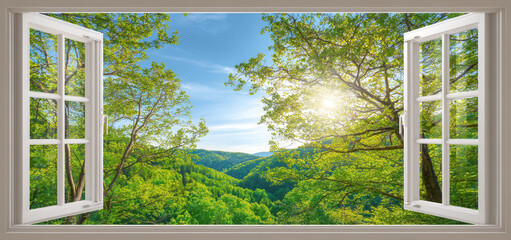 Seeing nature's beauty through an open window, Sunlight streaming through trees reveals summer or spring in the distant forest