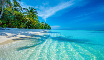 Tropical island beach landscape exotic shore coast. Tranquil closeup calm sea water waves with palm trees. Beautiful Panorama. Summer vacation, holiday amazing nature. Relax paradise, Maldives.