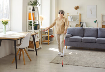 Senior elderly blind disabled woman in casual clothes with cane walking in the living room at home. Female retired person with cane indoors. Blindness, disability and vision problems concept.