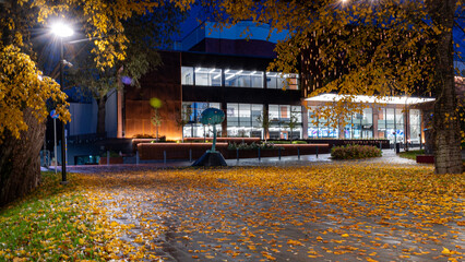 beautiful evening landscape, city view in autumn, illuminated streets and houses, reflections and bright colors